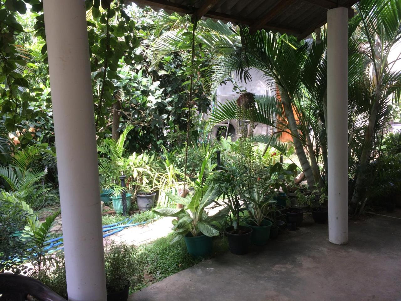 Hotel View Point Tissamaharama Exterior photo